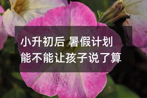 小升初后 暑假計劃能不能讓孩子說了算