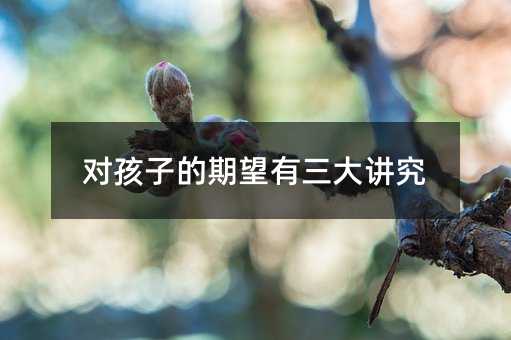 �����ӵ������������v��