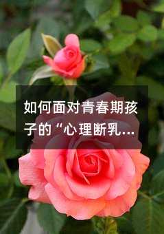 如何面對青春期孩子的“心理斷乳期”?
