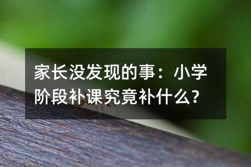 家長沒發現的事:小學階段補課究竟補什么?