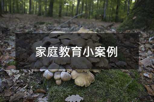 ��ͥ����С����