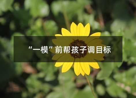 “一模”前幫孩子調目標