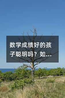 ��(sh��)�W(xu��)�ɿ�(j��)�õĺ������᣿��ΌW(xu��)�Ô�(sh��)�W(xu��)