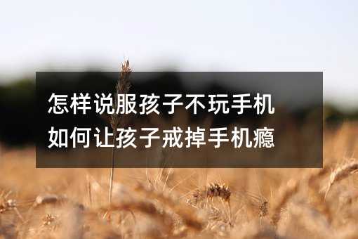 �����f�����Ӳ����֙C ���׌���ӽ���֙C�a