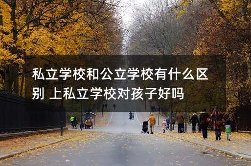 ˽���WУ�͹����WУ��ʲô�^�e ��˽���WУ�����ӺÆ�