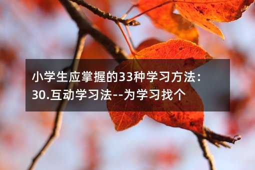 小學生應掌握的33種學習方法:30.互動學習法--為學習找個伴