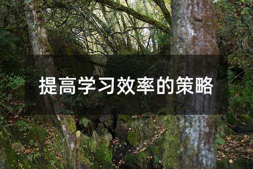 提高學習效率的策略