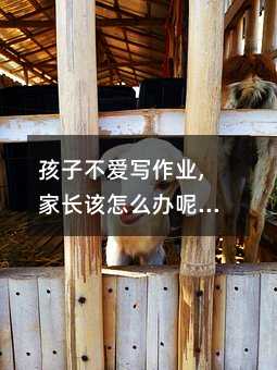 ���Ӳ��ی����I,���Lԓ��ô�k�أ����Ӳ��ی����I,���Lԓ��ô�kѽ��