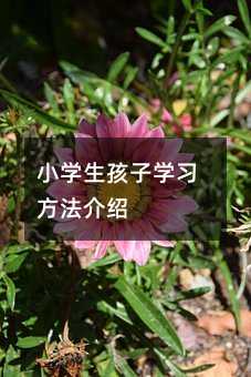 С�W�����ӌW��������B