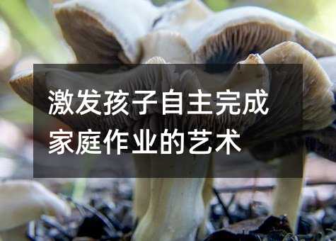 激發孩子自主完成家庭作業的藝術