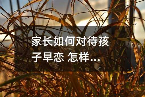 ���L��Ό���������� ��������