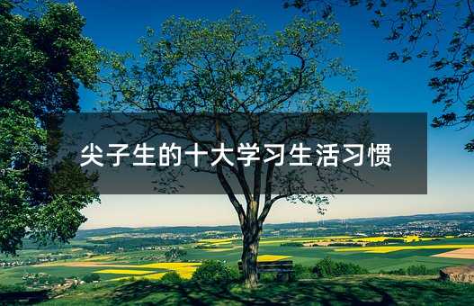 尖子生的十大學習生活習慣