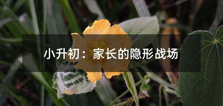 小升初:家長的隱形戰場