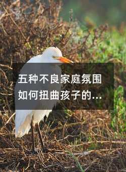 ��N������ͥ�Շ����Ť�����ӵĳ��L܉�E