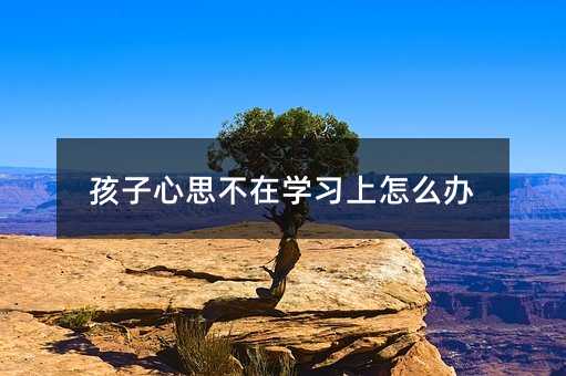 孩子心思不在學(xué)習(xí)上怎么辦
