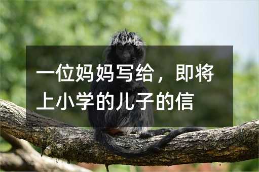 һλ�������o��������С�W�ă��ӵ���