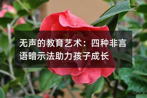 �o(w��)�Ľ���ˇ�g(sh��)���ķN�����Z(y��)��ʾ���������ӳ��L(zh��ng)