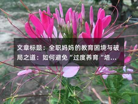 �����}��ȫ�����Ľ��������c�ƾ�֮������α��⡰�^���B(y��ng)�������B(y��ng)��������