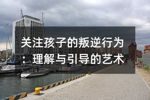關(guān)注孩子的叛逆行為:理解與引導(dǎo)的藝術(shù)