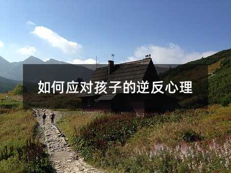 ��Α������ӵ��淴����