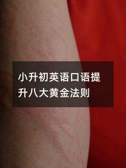 С����Ӣ�Z���Z�����˴��S�𷨄t