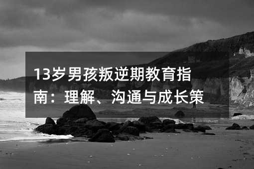 13�q�к������ڽ���ָ�ϣ����⡢��ͨ�c���L����