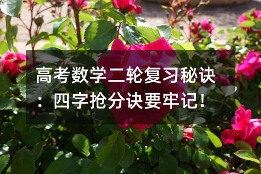 高考數(shù)學(xué)二輪復(fù)習(xí)秘訣:四字搶分訣要牢記!