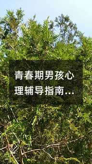 �ഺ���к������o��ָ�ϣ�10-14�q�P�I�ڽ�������