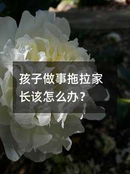 ���������������Lԓ��ô�k��