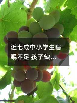 ���߳���С�W��˯�߲��� ����ȱ�X�������