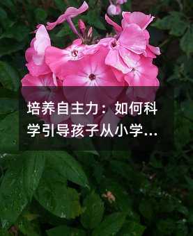 ���B����������οƌW�������ӏ�С�W�����x��