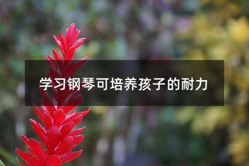 學習鋼琴可培養(yǎng)孩子的耐力