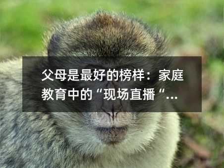 ��ĸ����õİ�ӣ���ͥ�����еġ��F��ֱ�������t