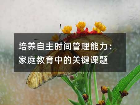 培養自主時間管理能力:家庭教育中的關鍵課題