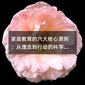 ��ͥ�������������ԭ�t��������Є�(d��ng)�ĿƌW(xu��)ָ��