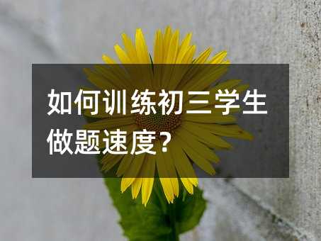 ���Ӗ�������W�����}�ٶȣ�