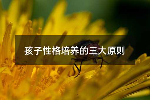 �����Ը����B������ԭ�t