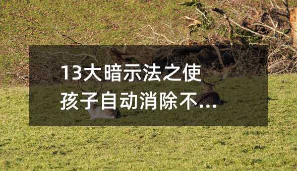 13��ʾ��֮ʹ�����Ԅ��������M��w