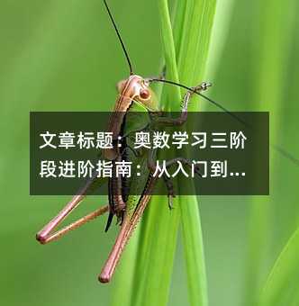 �����}���W���W�����A���M�Aָ�ϣ������T����ͨ��ϵ�y��·��