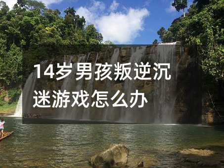 14�q�к���������Α���ô�k