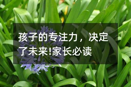 ���ӵČ�(zhu��n)ע�����Q����δ��(l��i)!���L(zh��ng)���x