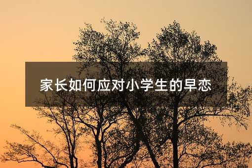 ���L��Α�(y��ng)��С�W�������