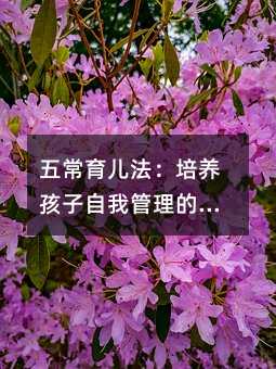 �峣�����������B(y��ng)�������ҹ�����Ȥζ���`�փ�