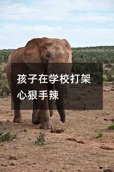 孩子在學校打架心狠手辣