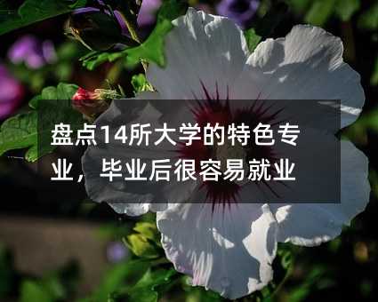 �P�c14����W����ɫ���I�����I������׾͘I