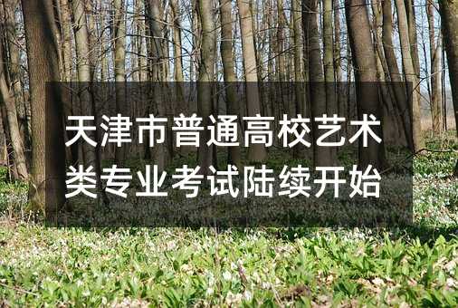 天津市普通高校藝術(shù)類專業(yè)考試陸續(xù)開始