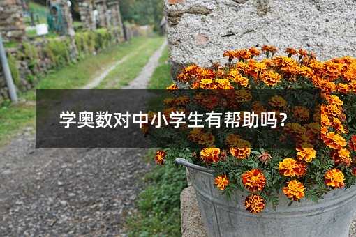 學奧數對中小學生有幫助嗎?