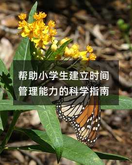 ����С�W�������r�g���������ĿƌWָ��