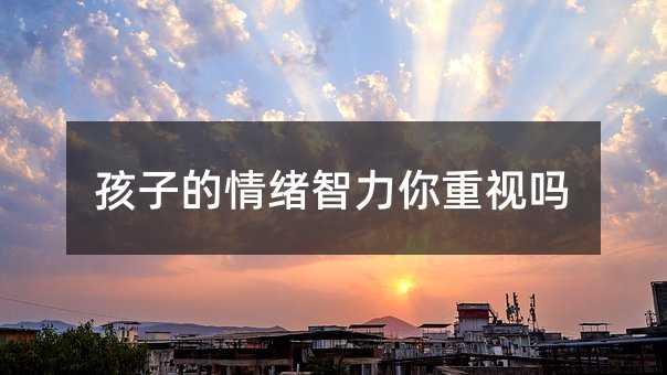 孩子的情緒智力你重視嗎