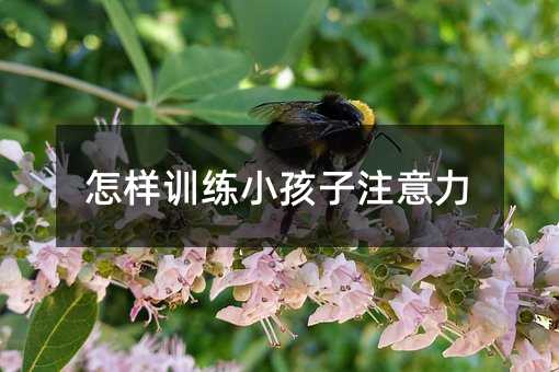 怎樣訓練小孩子注意力